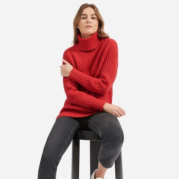 Everlane Wool Rib Turtleneck Sweater size XS NWT - Picture 1 of 7